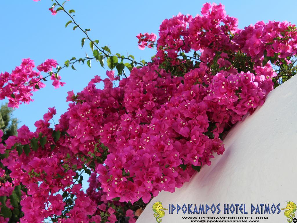 Ippokampos Hotel Скала Екстериор снимка